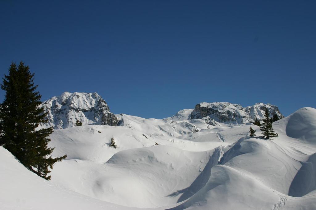 Madame Vacances Les Chalets Du Praz La Plagne Εξωτερικό φωτογραφία